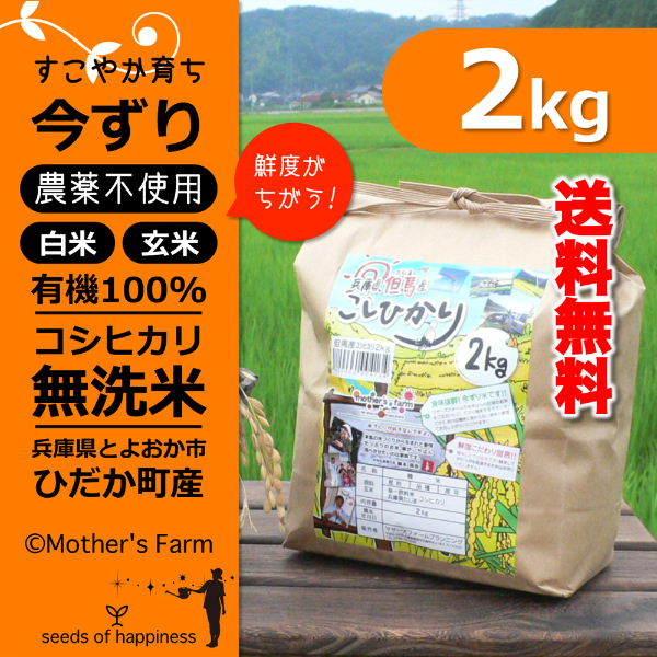 無洗米 お米 2kg 玄米 白米 今ずり米 農薬不使用 コシヒカリ 令和7年産 送料無料 ＼クーポン...