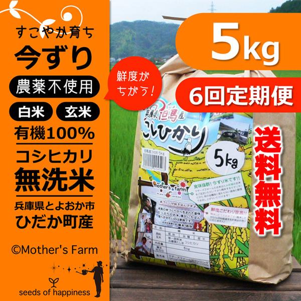 定期購入 無洗米 お米 5kgx6回 玄米 白米 今ずり米 農薬不使用 コシヒカリ 令和7年産 送料...