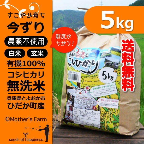 無洗米 玄米 白米 5kg 今ずり米 農薬不使用 コシヒカリ 令和5年産 送料無料