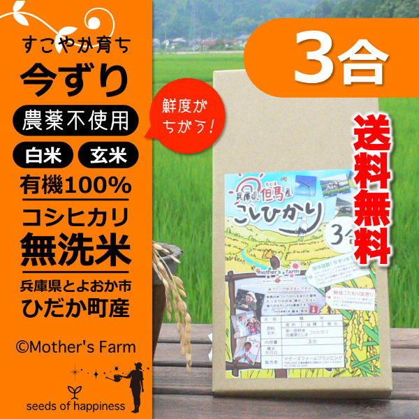 無洗米 お試し 玄米 白米 3合 今ずり米 農薬不使用 コシヒカリ 令和5年産 送料無料 ポイント消...