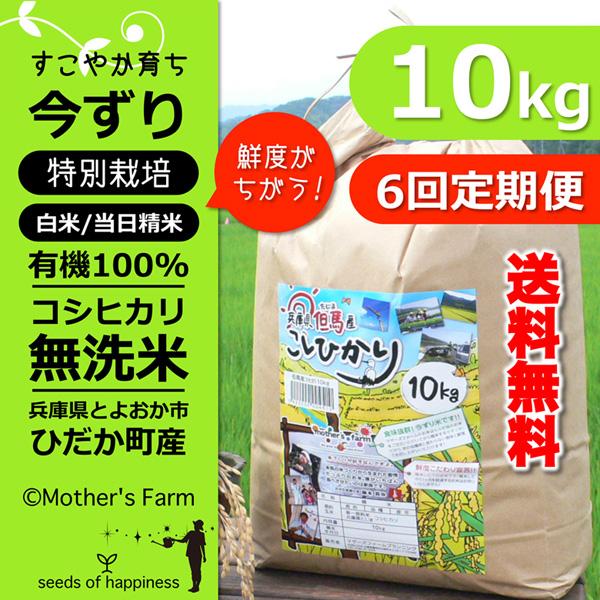定期購入 無洗米 10kgx6回 白米 今ずり米  特別栽培米 コシヒカリ 令和7年産 送料無料 ＼...