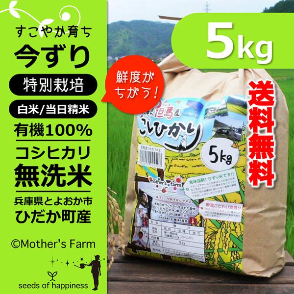 無洗米 お米 5kg コシヒカリ 白米 今ずり米 特別栽培米 令和7年産 兵庫県 但馬産 送料無料 ...