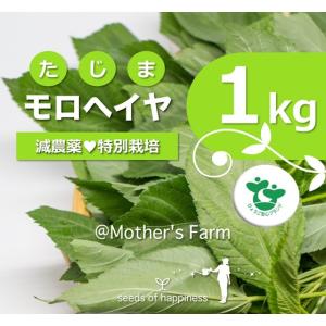 モロヘイヤ 農薬90％カット 特別栽培【1kg】｜arumama