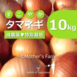 タマネギ 玉ねぎ 農薬90％カット 特別栽培【10kg】｜arumama