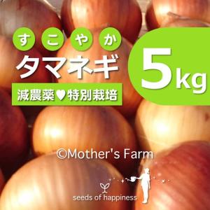 タマネギ 5kg 玉ねぎ 農薬90％カット 特別栽培 送料無料｜arumama