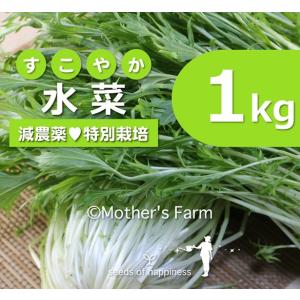 水菜 農薬90％カット 特別栽培【1kg】｜arumama