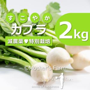 カブラ 農薬90％カット 特別栽培【2kg】｜arumama