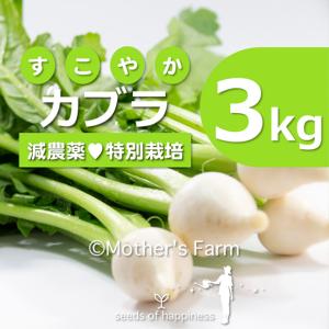 カブラ 農薬90％カット 特別栽培【3kg】｜arumama