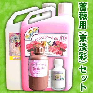 ＼クーポン有／ 【薔薇用（京淡彩）セット】薔薇用一液くん プリザーブドフラワー液 プリザ液 加工液 ...