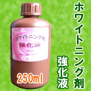 ＼クーポン有／ 一液くん ホワイトニング剤強化液 プリザーブドフラワー液 プリザ液 加工液 250m...