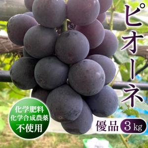 ピオーネ（3kg：6〜9房）種無し ぶどう 優品 農薬不使用 送料無料｜arumama