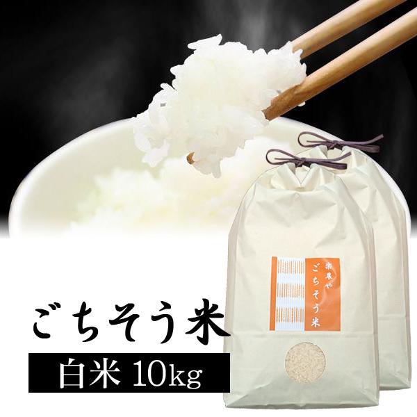 コシヒカリ（10kg）白米 ごちそう米 令和5年産 お米 楽農や 送料無料