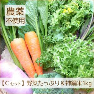 春ギフト 野菜 お米 詰め合わせ 満足セット 農薬不使用 訳あり 不揃い 送料無料｜arumama