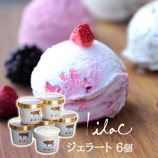 お歳暮 アイス ジェラート アイスクリーム 6個 ギフト 誕生日プレゼント 送料無料 らいらっく
