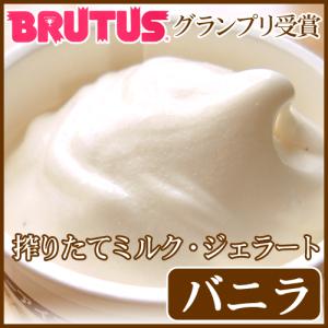敬老の日 アイス 最高級 バニラ ジェラート アイスクリーム 夏ギフト プレゼント らいらっく