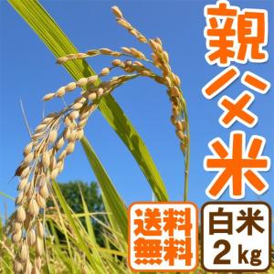 ＼クーポン有／ コシヒカリ 2kg お米 白米 親父米 令和3年産 兵庫県産 送料無料
