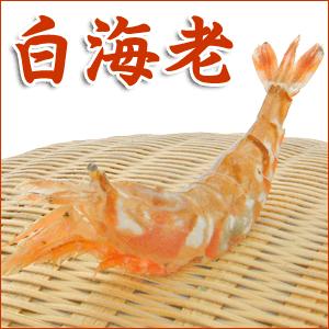 訳あり わけあり 不ぞろい しろえび 白海老 大 中 500g お刺身ok シロエビ Ty E Shiro L あるまま 通販 Yahoo ショッピング