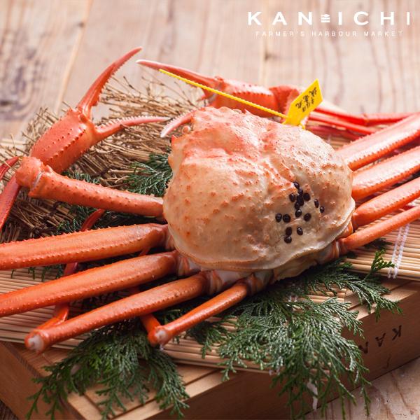 母の日 香住ガニ（約600〜700g）ボイル 茹で ゆで ギフト 紅ズワイガニ ベニズワイガニ ＼ク...