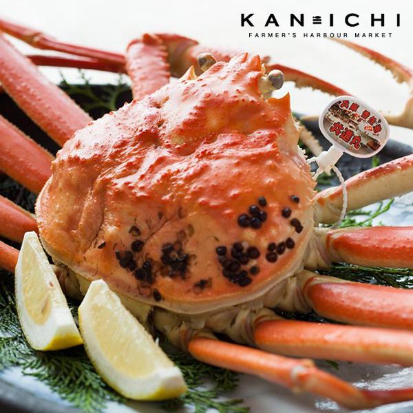 お歳暮 松葉ガニ 松葉がに（約750〜900g）ギフト ボイル 茹で ゆで 活 生 かに 蟹 兵庫県...