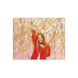 ステージシャワークラッカー 巨大クラッカー・販売・カネコ・業務用・祝砲・パーティーグッズ