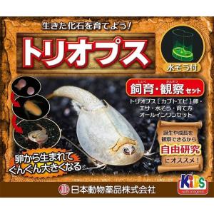 トリオプス飼育観察セット 夏休み 宿題 自由研究 カブトエビ...