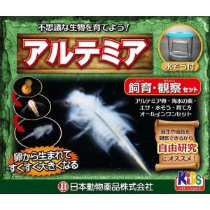 アルテミア飼育観察セット 夏休み 宿題 自由研究 ジュラ伝説 アルテミア・サリーナ観察セット｜arune