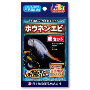 ホウネンエビの卵セット 夏休み 宿題 自由研究...