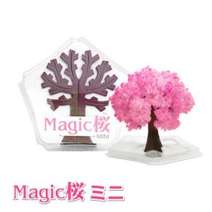 Magic桜ミニ マジックさくらミニ まじっくさくら プチギフト