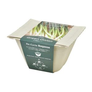 バガスグリーン ネギ エコ容器で育てる野菜栽培セット