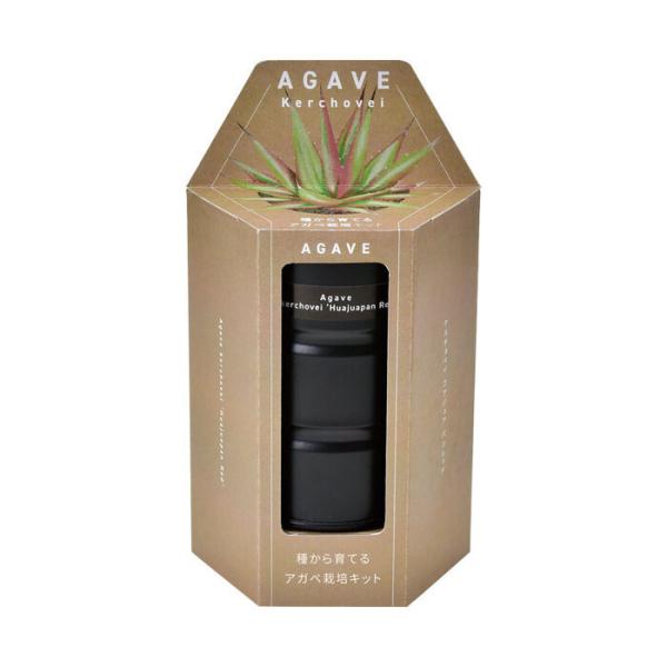 アガベ栽培キット ケルチョベイ レッド GD-104603 聖新陶芸 栽培セットギフト プレゼント