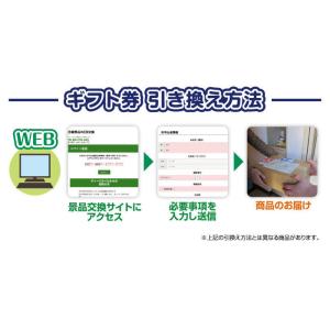 全国一律送料無料 ギフト券 銀座千疋屋プレミア...の詳細画像3