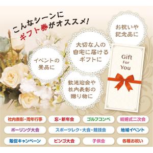 メール便全国一律370円 ギフト券 ハーゲンダ...の詳細画像1