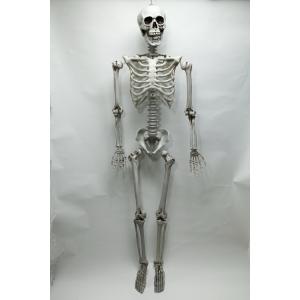 等身大骸骨 ハロウィン 飾り - 最安値・価格比較 - Yahoo!ショッピング