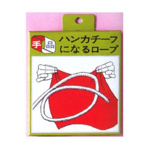 ハンカチーフになるロープ マジック 簡単な手品 マジシャン