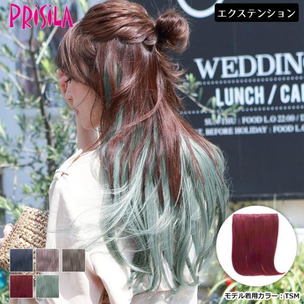 エクステンション ウィッグ プリシラTX-25 めちゃ楽カラーエクステ ヴァージンストレート メッシ...