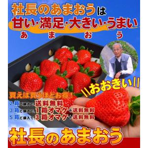 2箱以上で送料無料 特大の苺 いちごの王様 あ...の詳細画像1