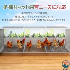 鶏 ケージ 室内 屋外 ステンレス 大型角管高...の詳細画像4
