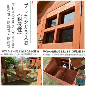 鶏小屋 屋外 木製 大型 鶏舎 ヘンハウス 砂...の詳細画像4