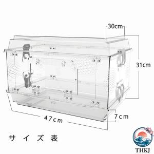 爬虫類テラリウムタンク 通気ケージ 給餌箱 ス...の詳細画像3