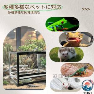 大型ガラス飼育ケージ 爬虫類両生類飼育ケージ ...の詳細画像5