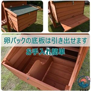 鶏小屋 屋外 木製 大型 鶏舎 ヘンハウス 砂...の詳細画像5