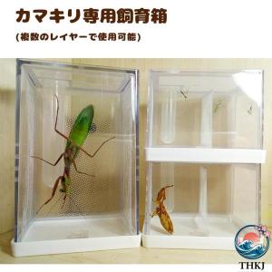 カマキリ専用飼育箱 アクリルカマキリかご カマ...の詳細画像1