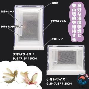 カマキリ専用飼育箱 アクリルカマキリかご カマ...の詳細画像2