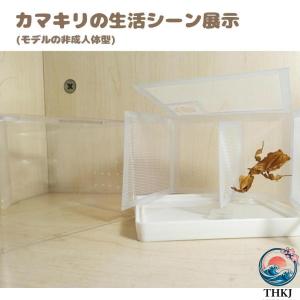 カマキリ専用飼育箱 アクリルカマキリかご カマ...の詳細画像5