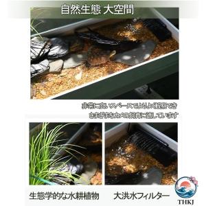 木製飼育ケージ 亀 水槽 大きい 透明 カメの...の詳細画像3