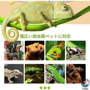 爬虫類 ケージ 飼育ケース 爬虫類ケージ トカ...の詳細画像4