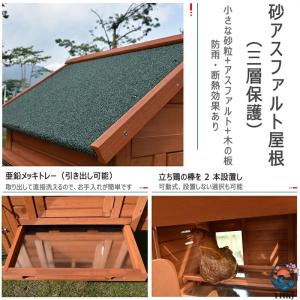 鶏小屋 屋外 木製 大型 鶏舎 ヘンハウス 砂...の詳細画像2