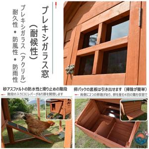 鶏小屋 屋外 木製 大型 鶏舎 ヘンハウス 砂...の詳細画像3
