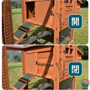 鶏小屋 屋外 木製 大型 鶏舎 ヘンハウス 砂...の詳細画像4