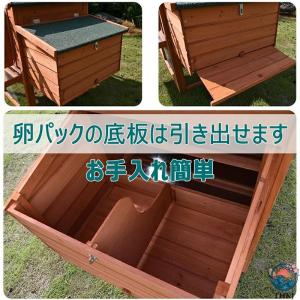 鶏小屋 屋外 木製 大型 鶏舎 ヘンハウス 砂...の詳細画像5